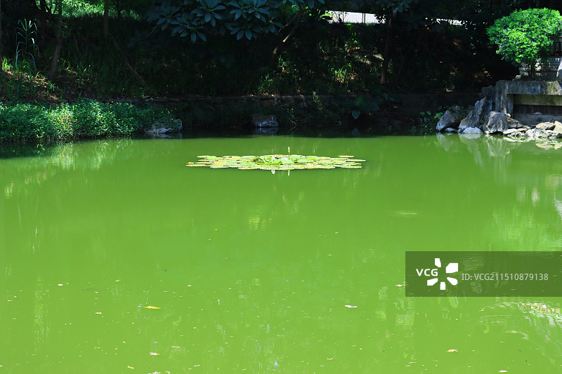 深圳较场尾海边沙滩图片素材