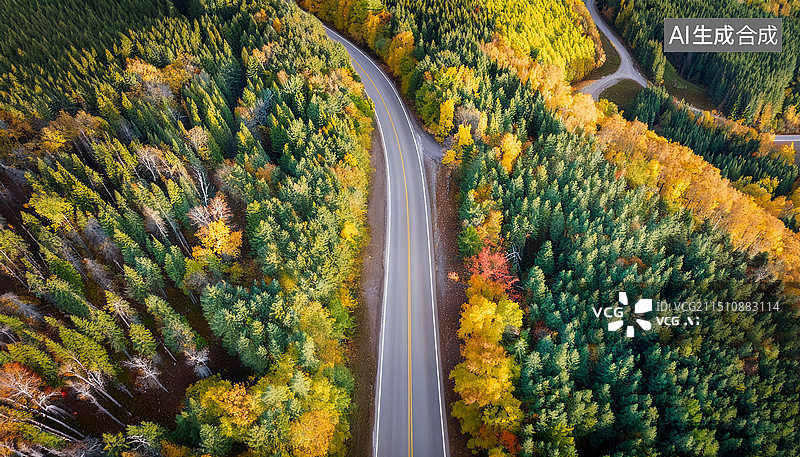 【AI数字艺术】秋天的公路图片素材
