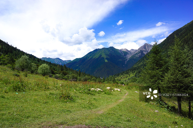 川西高原徒步步道图片素材
