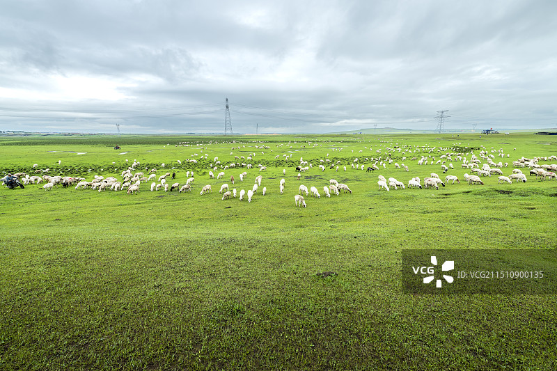 呼伦贝尔大草原图片素材