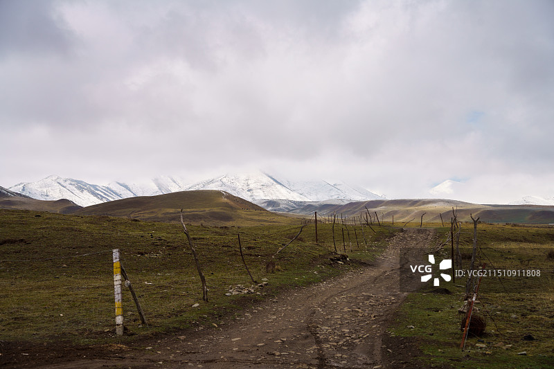 桑科草原图片素材