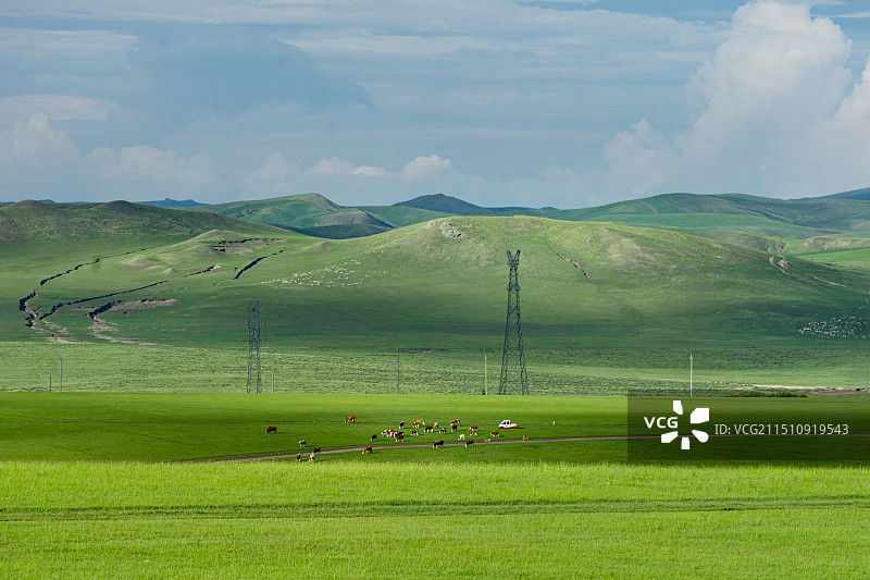 赋予灵魂的内蒙古绿图片素材