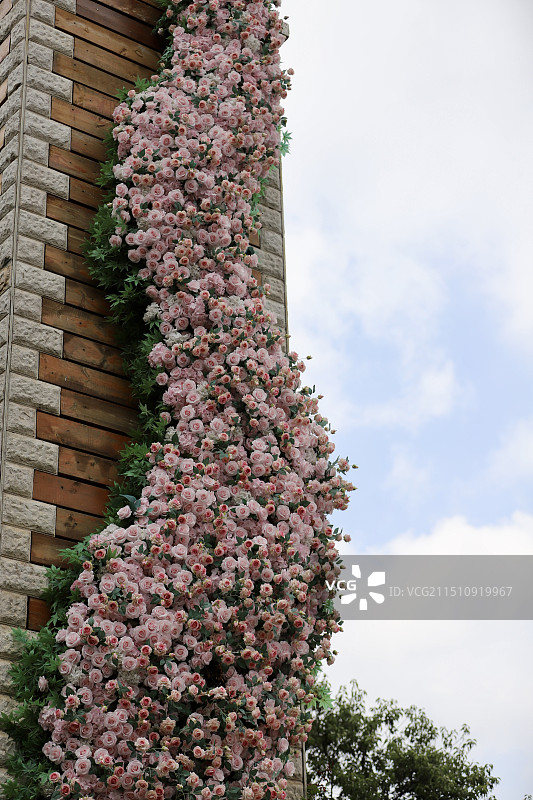 翠湖公园花墙图片素材