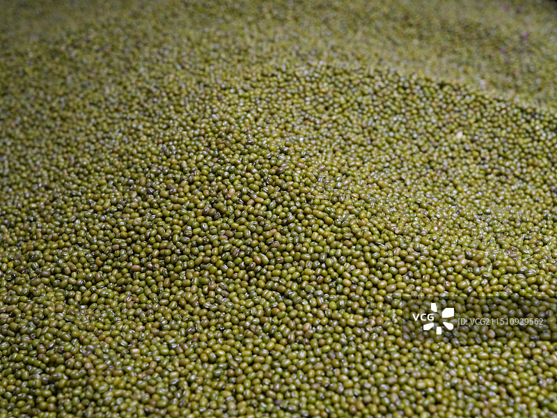 红豆和绿豆图片素材