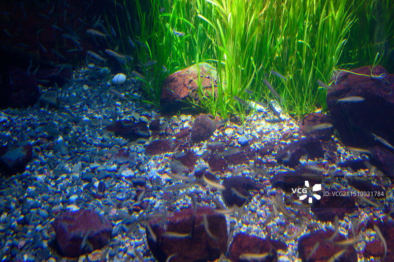 奈良-大阪天守阁-海游馆图片素材