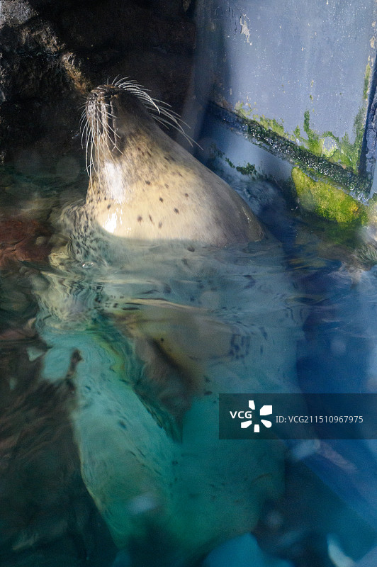 奈良-大阪天守阁-海游馆图片素材