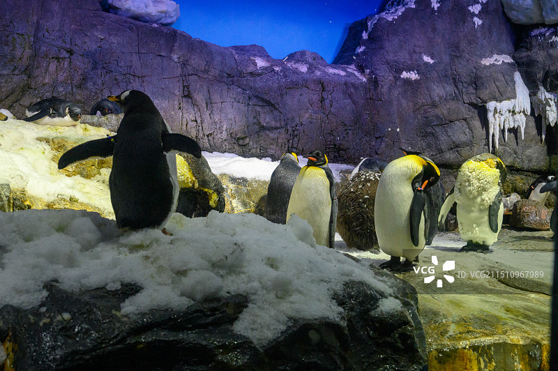 奈良-大阪天守阁-海游馆图片素材
