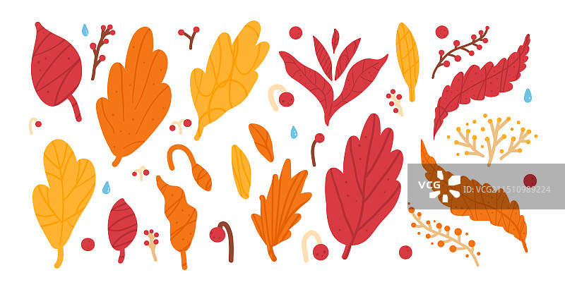 秋叶在温暖的秋天的颜色设置纹理图片素材