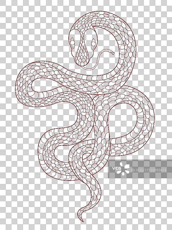 中国风国潮风新年2025年金蛇线稿线条矢量元素图片素材