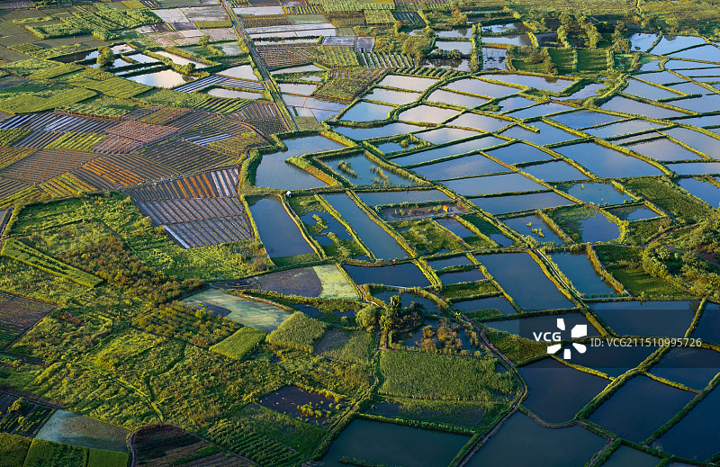 田野的颜色图片素材