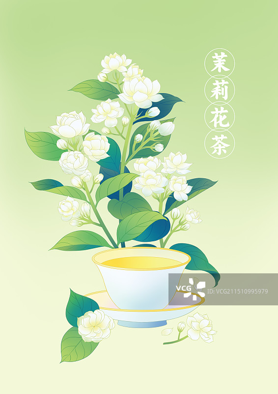清晰茉莉花茶新中式茶包装插画图片素材
