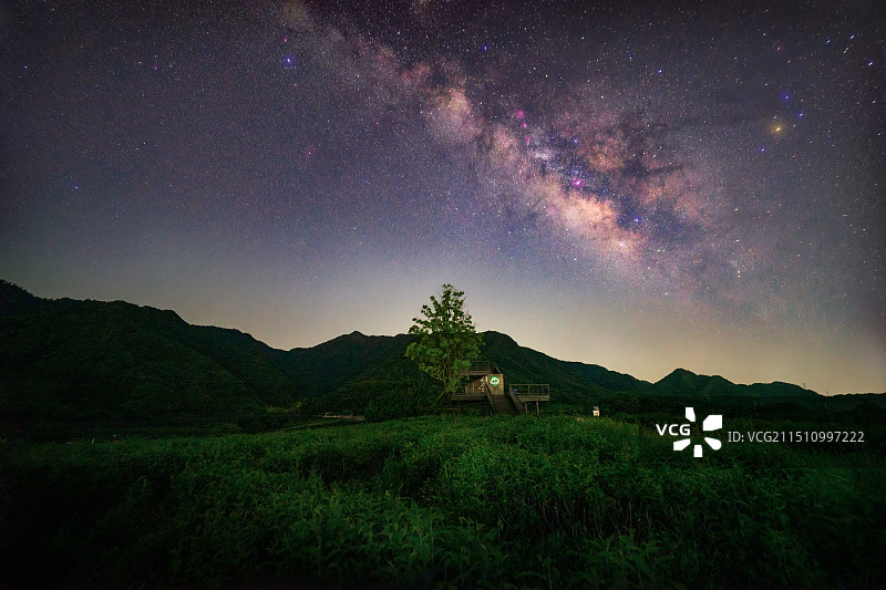 茶园银河图片素材