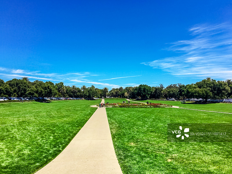 加州斯坦福大学校园内的大草坪图片素材