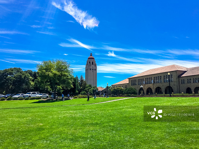 加州斯坦福大学校园内的大草坪图片素材