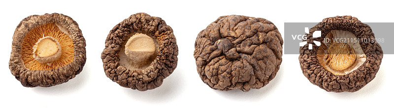 黑面菇干货菌菇图片素材