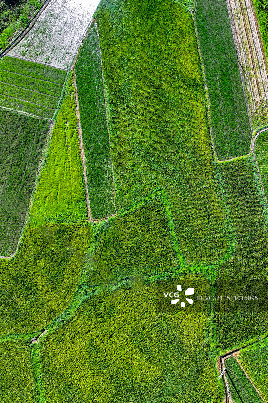 俯拍下的田园自然风光图片素材
