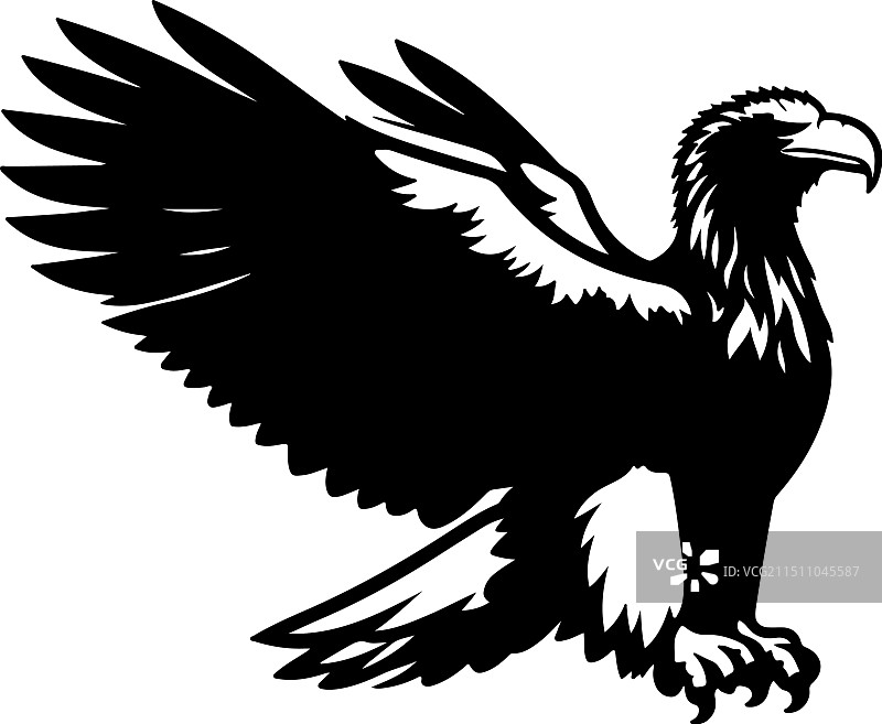 虎头海雕复古雕刻图片素材