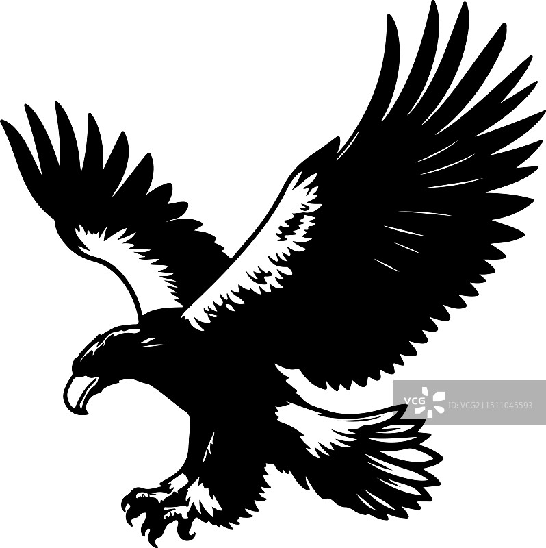 虎头海雕复古雕刻图片素材