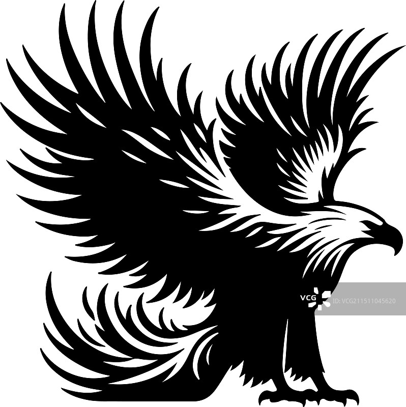 虎头海雕复古雕刻图片素材