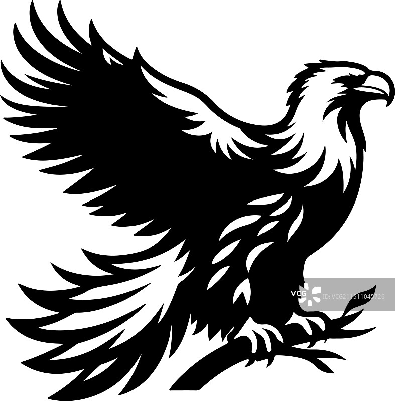 虎头海雕复古雕刻图片素材