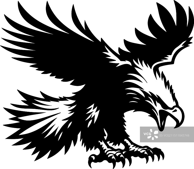 虎头海雕复古雕刻图片素材