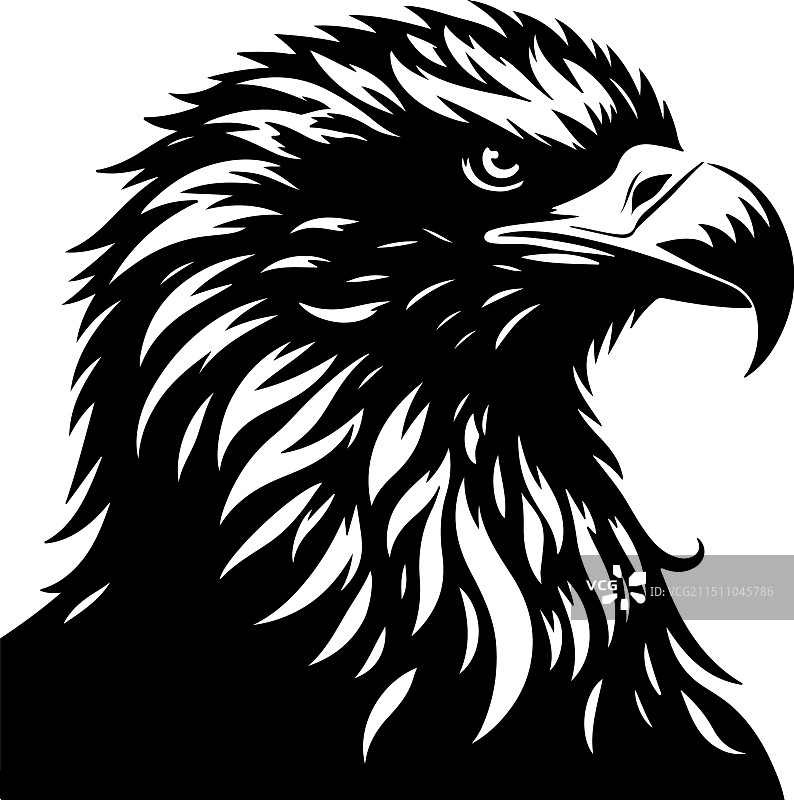 虎头海雕复古雕刻图片素材