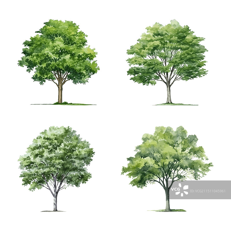 水彩树木图片素材