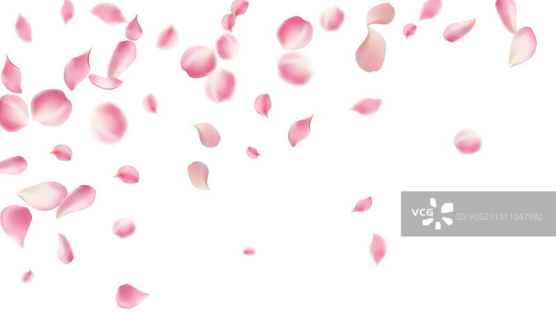 玫瑰花瓣或樱花飞舞的浪漫花瓣图片素材
