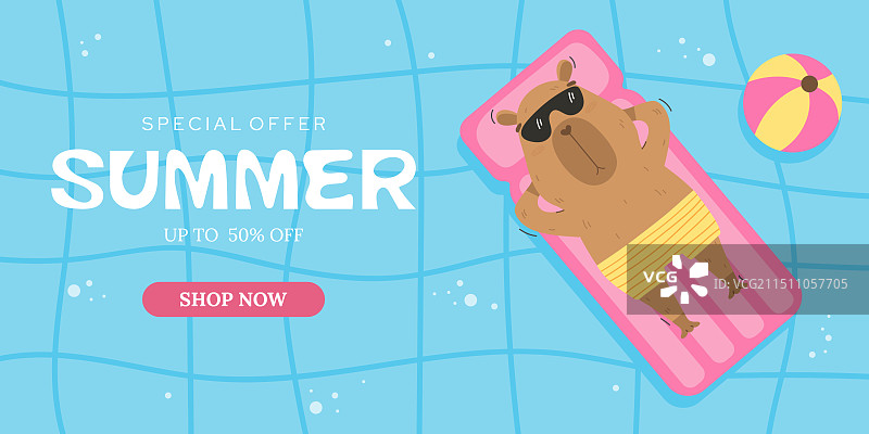 水豚在游泳池气垫上漂浮图片素材