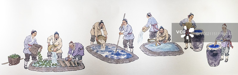 古代文明，中国古人用大青草制作青色颜料图片素材