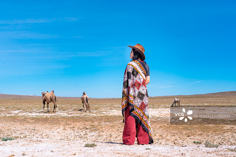 新疆旅游戈壁滩上的沙漠骆驼与人像图片素材