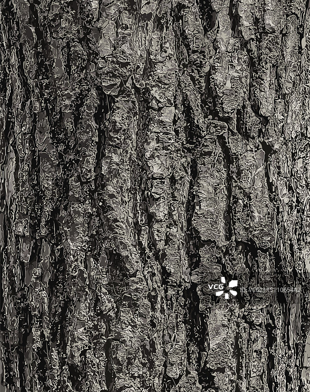 杜仲树皮自然背景图片素材