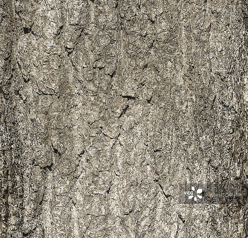 杜仲树皮自然背景图片素材