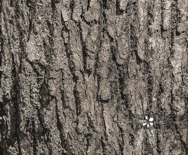 杜仲树皮自然背景图片素材