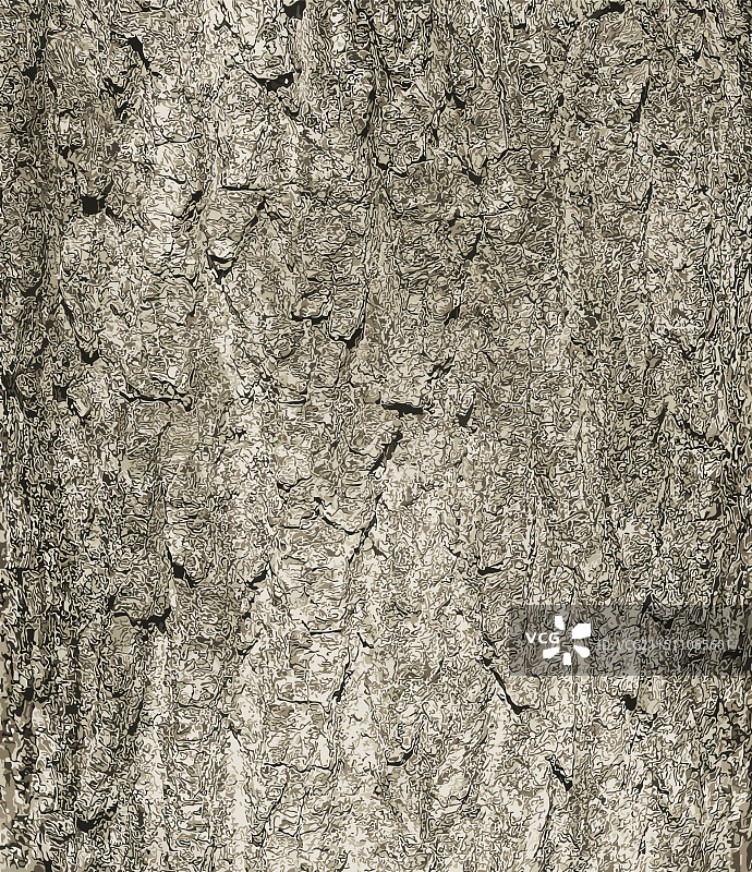 杜仲树皮自然背景图片素材