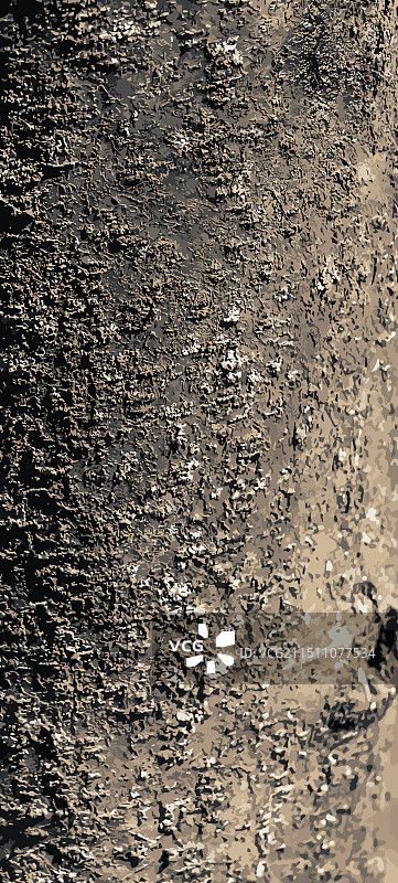 金链花树皮自然背景图片素材