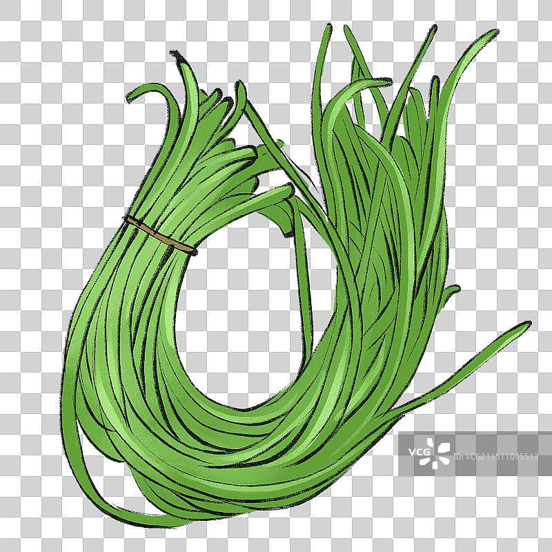 豇豆-手绘蔬菜生鲜促销电商包装手绘插画元素图片素材