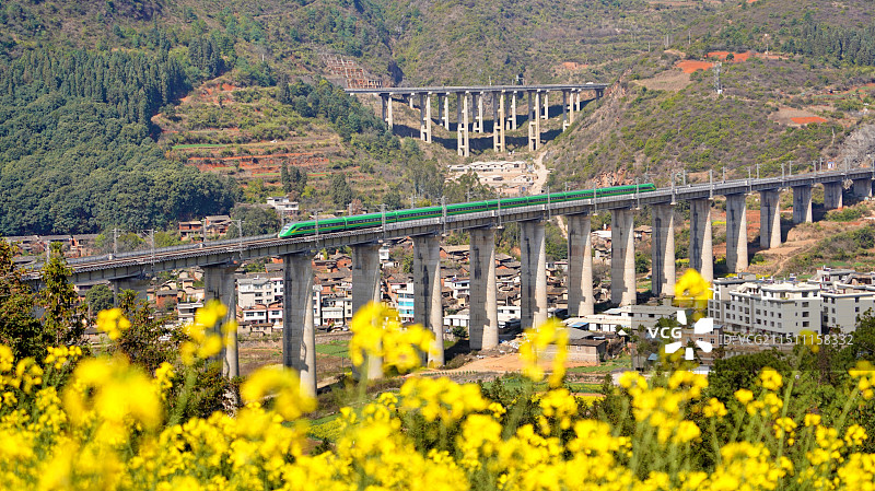 油菜花畔，行驶在中老铁路上的列车图片素材