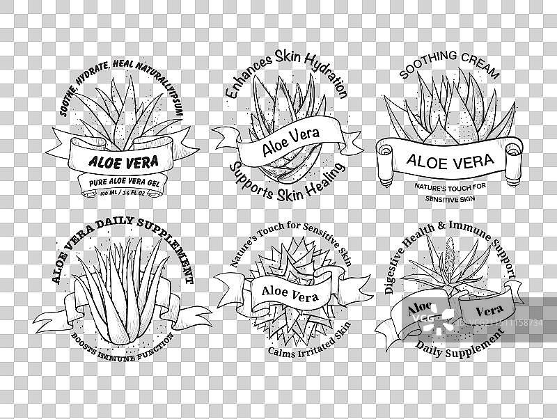 芦荟化妆品护肤凝胶免疫补充剂图片素材