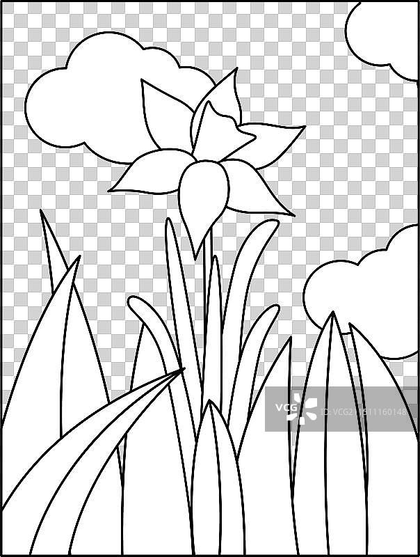 草地水仙花涂色页图片素材