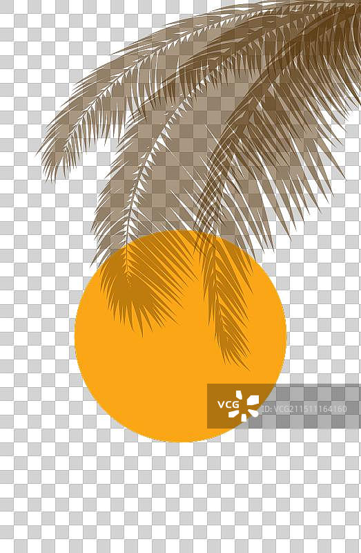 日落时分的棕榈叶速写图片素材