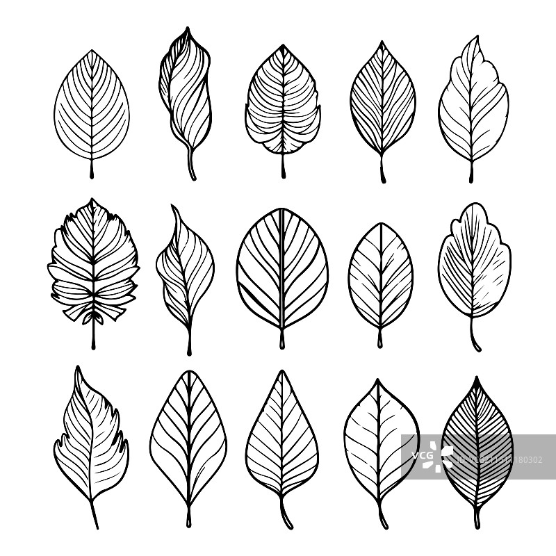 秋叶套装图片素材