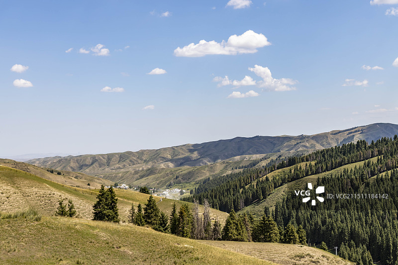 乌鲁木齐县甘沟乡山地森林与草场图片素材