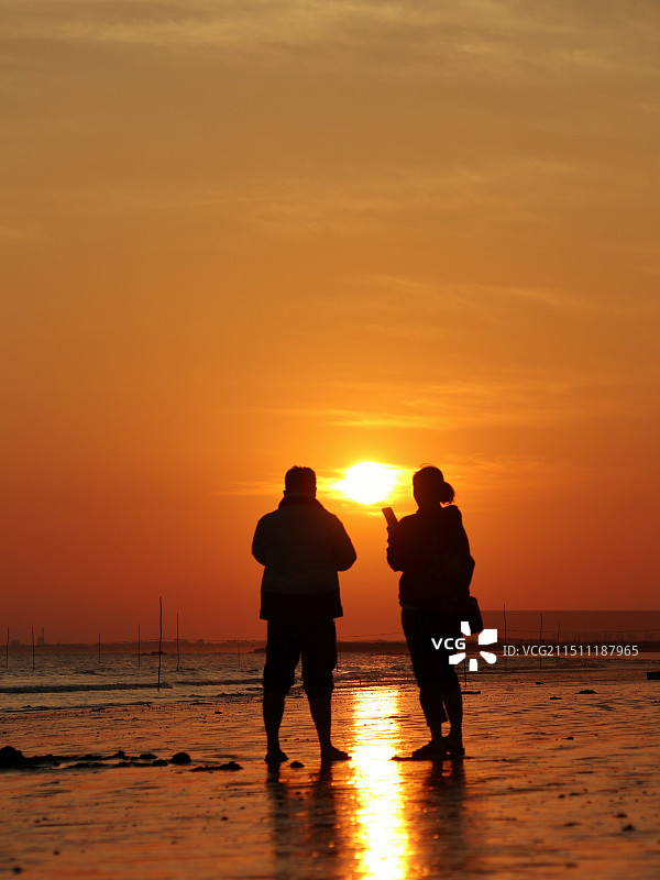 金海岸图片素材