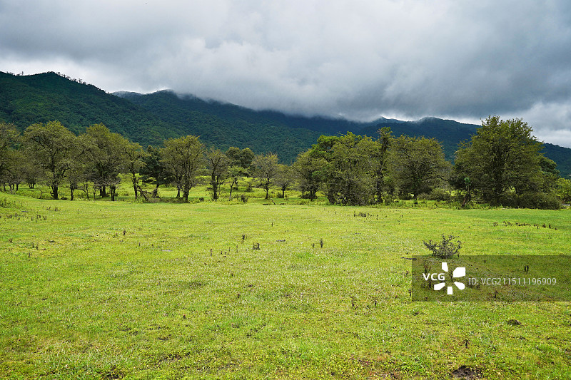 云南德宏盈江县诗蜜娃底 (黄草坝)图片素材