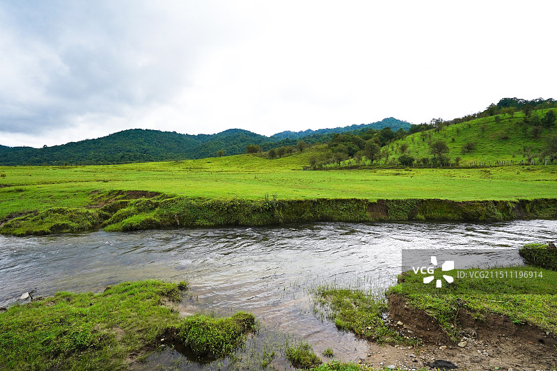 云南德宏盈江县诗蜜娃底 (黄草坝)图片素材