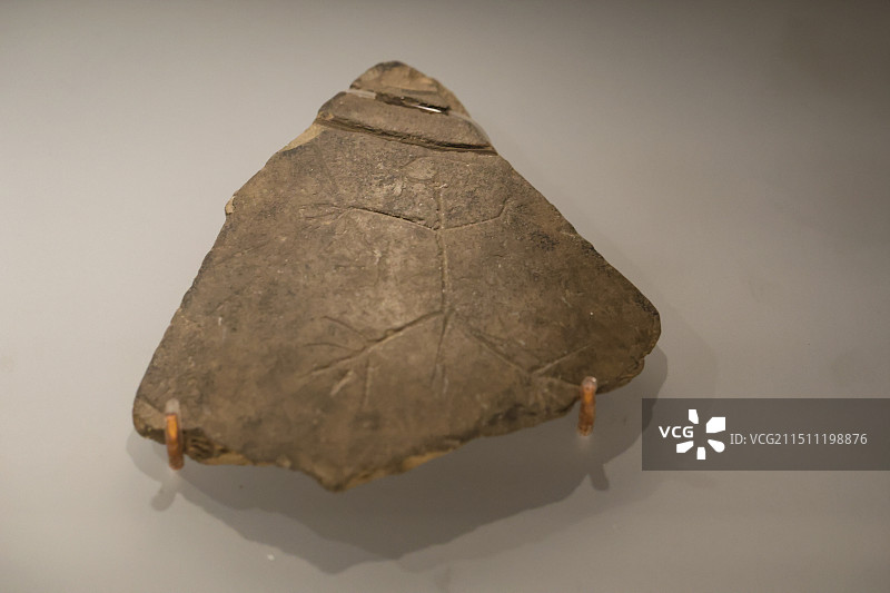 碾子坡遗址出土文物陶鬶陶鬲陶器陶罐陶纺轮秤砣图片素材