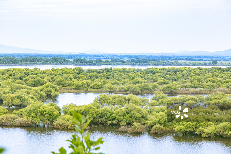 黑龙江省饶河县乌苏里江饶河湿地风光图片素材