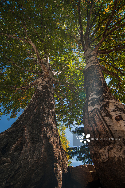 新疆阿勒泰可可托海风光摄影图片素材