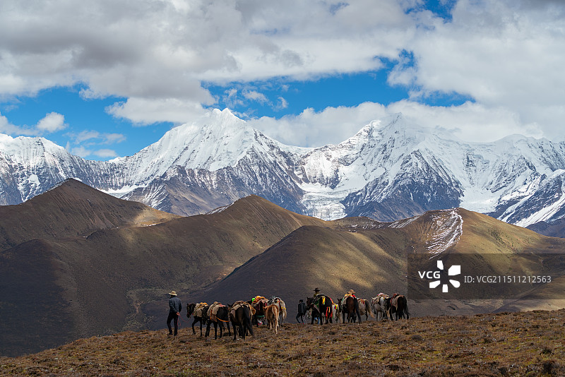 贡嘎雪山，马帮，高山草甸图片素材